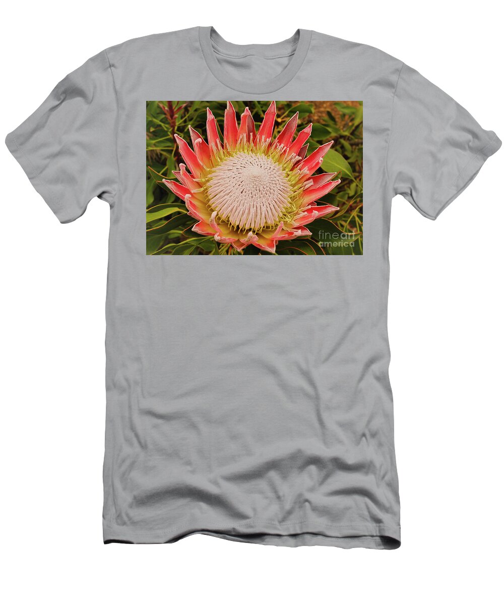 Protea T-Shirt featuring the photograph Protea I by Cassandra Buckley