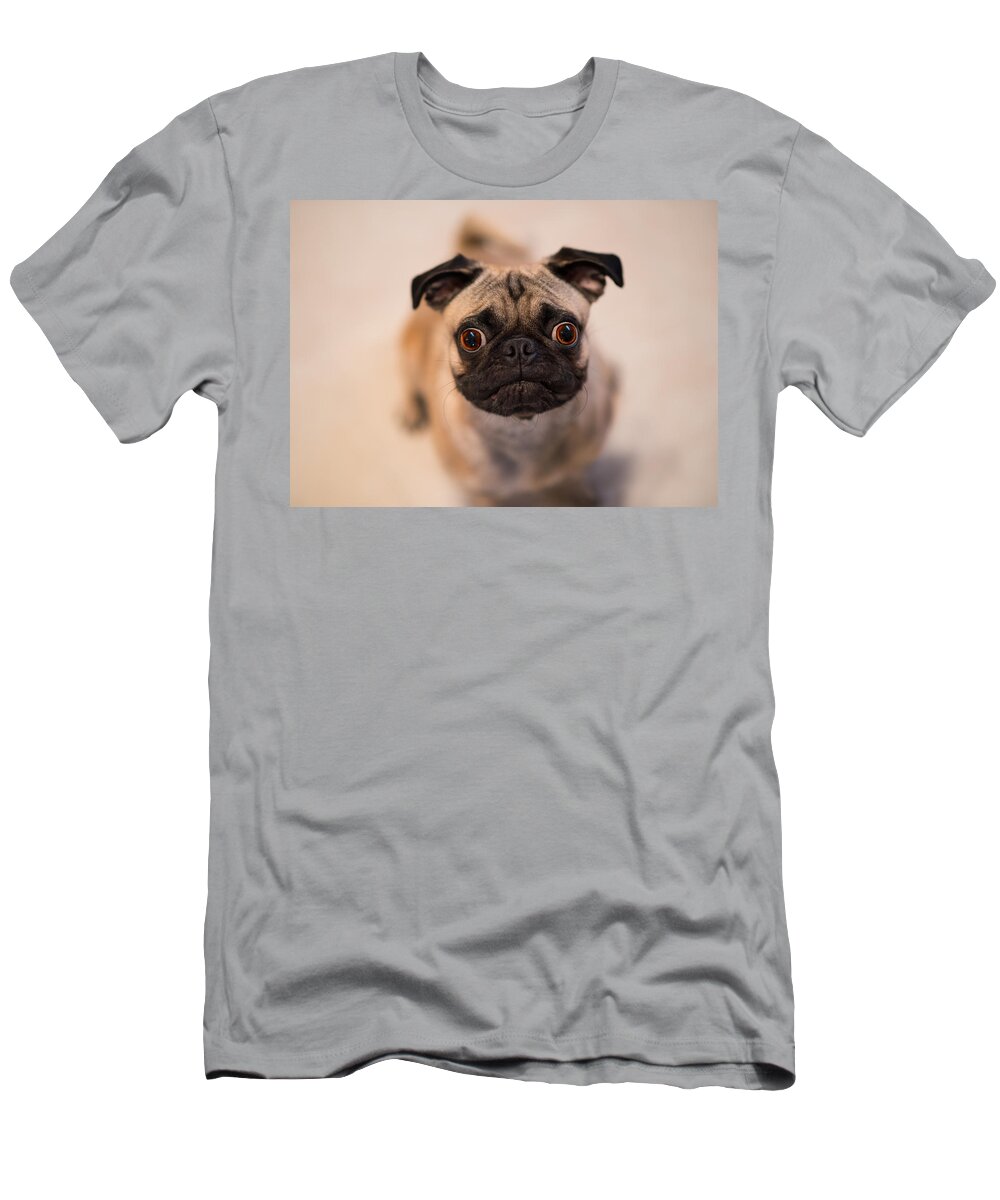 Pug T-Shirt featuring the photograph Pug Dog by Laura Fasulo