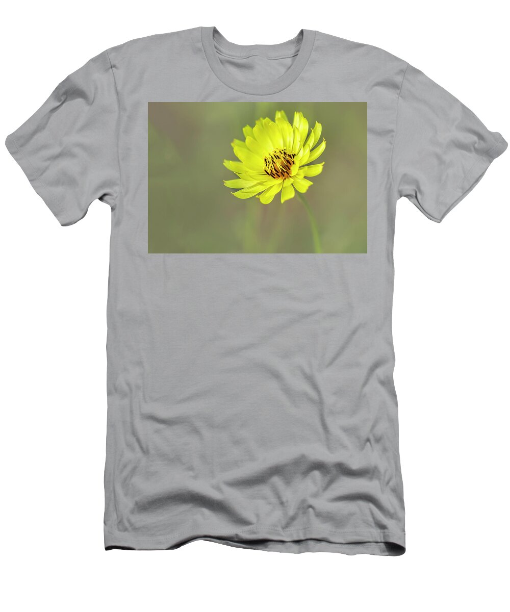 Asteraceae T-Shirt featuring the photograph Putting my best face forward. by Usha Peddamatham