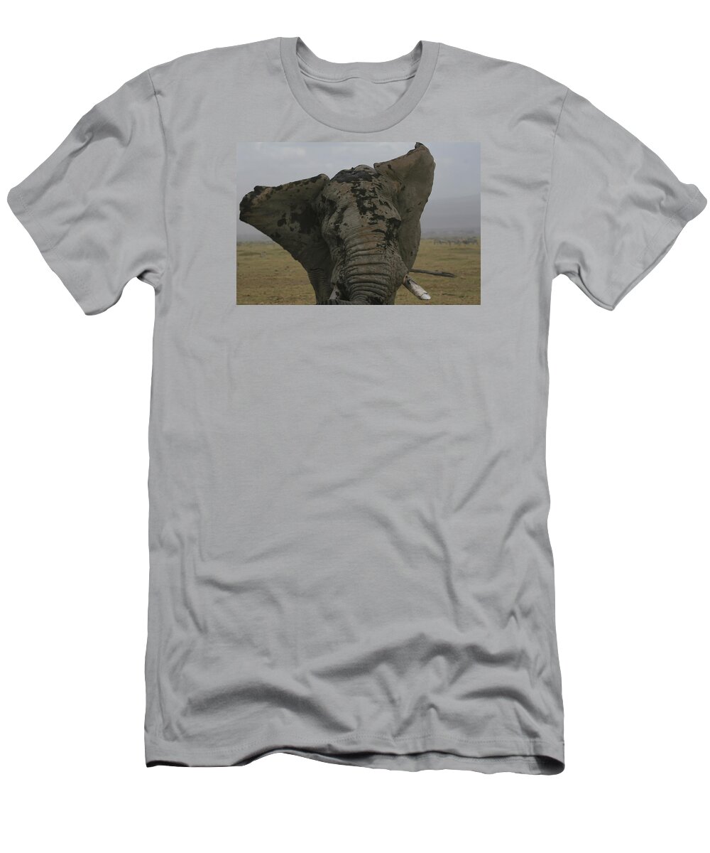 Gary Hall T-Shirt featuring the photograph Raging Bull by Gary Hall