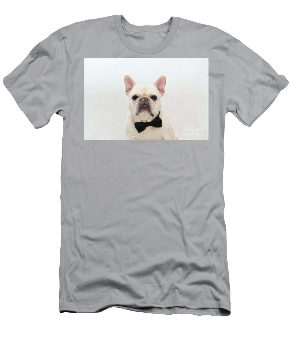 French Bulldog T-Shirt featuring the photograph Raimy 1 by Irina ArchAngelSkaya
