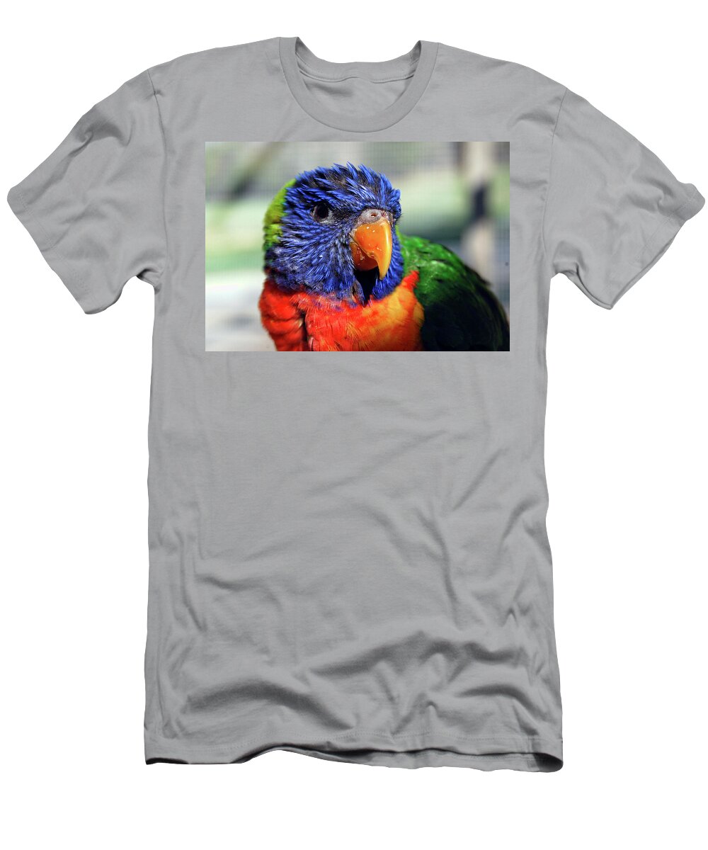 Rainbow T-Shirt featuring the photograph Rainbow Lorikeet by Amber Flowers