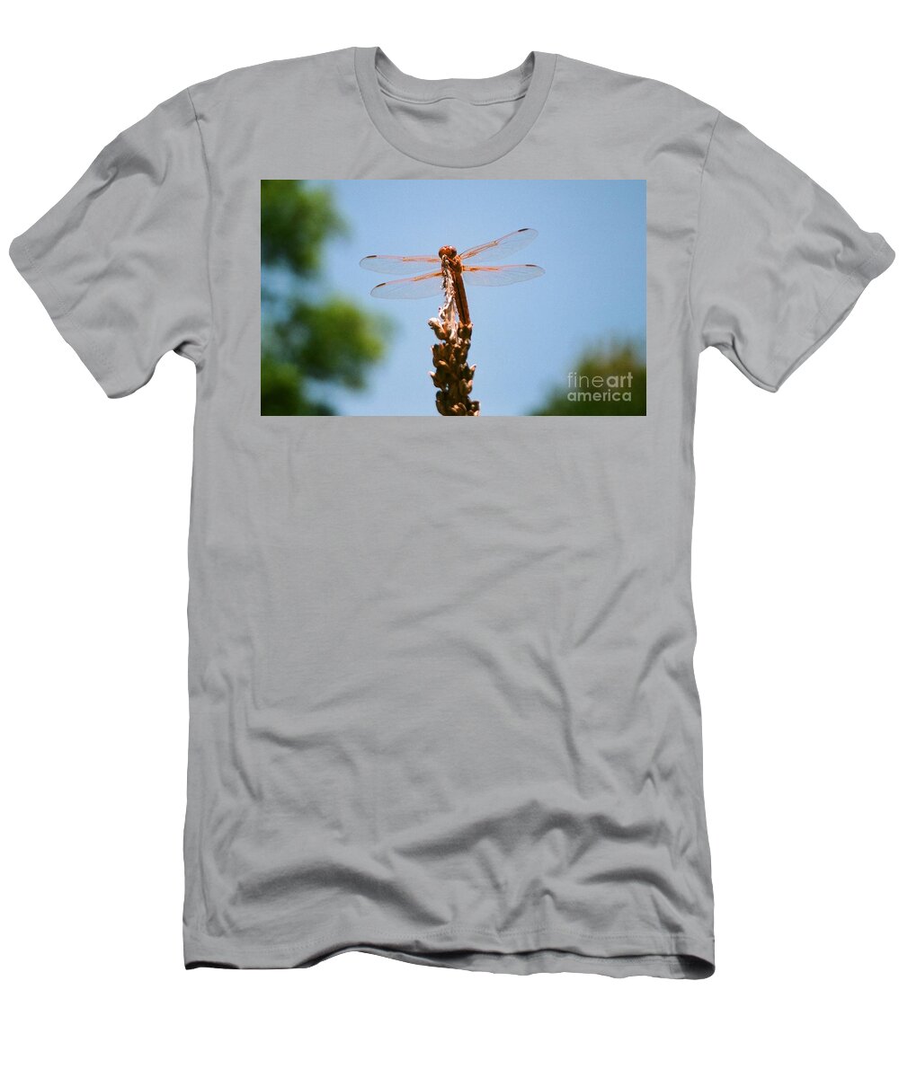 Dragonfly T-Shirt featuring the photograph Red Dragonfly by Dean Triolo
