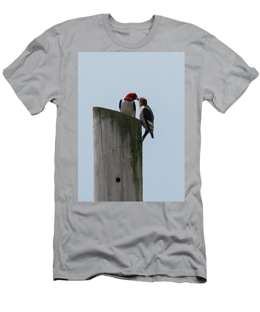 Red Headed Woodpeckers T-Shirt featuring the photograph Red Headed Woodpeckers by Holden The Moment