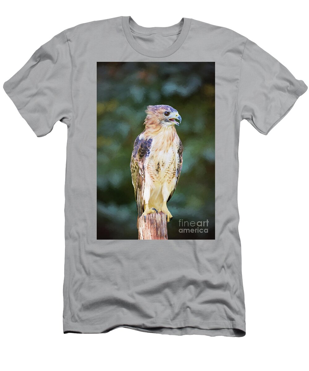 Nature T-Shirt featuring the photograph Red Tailed Hawk by Sharon McConnell