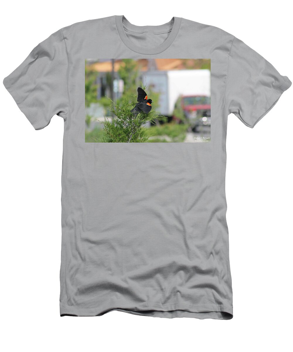 Animals T-Shirt featuring the photograph Red-Winged Blackbird by Robert Banach