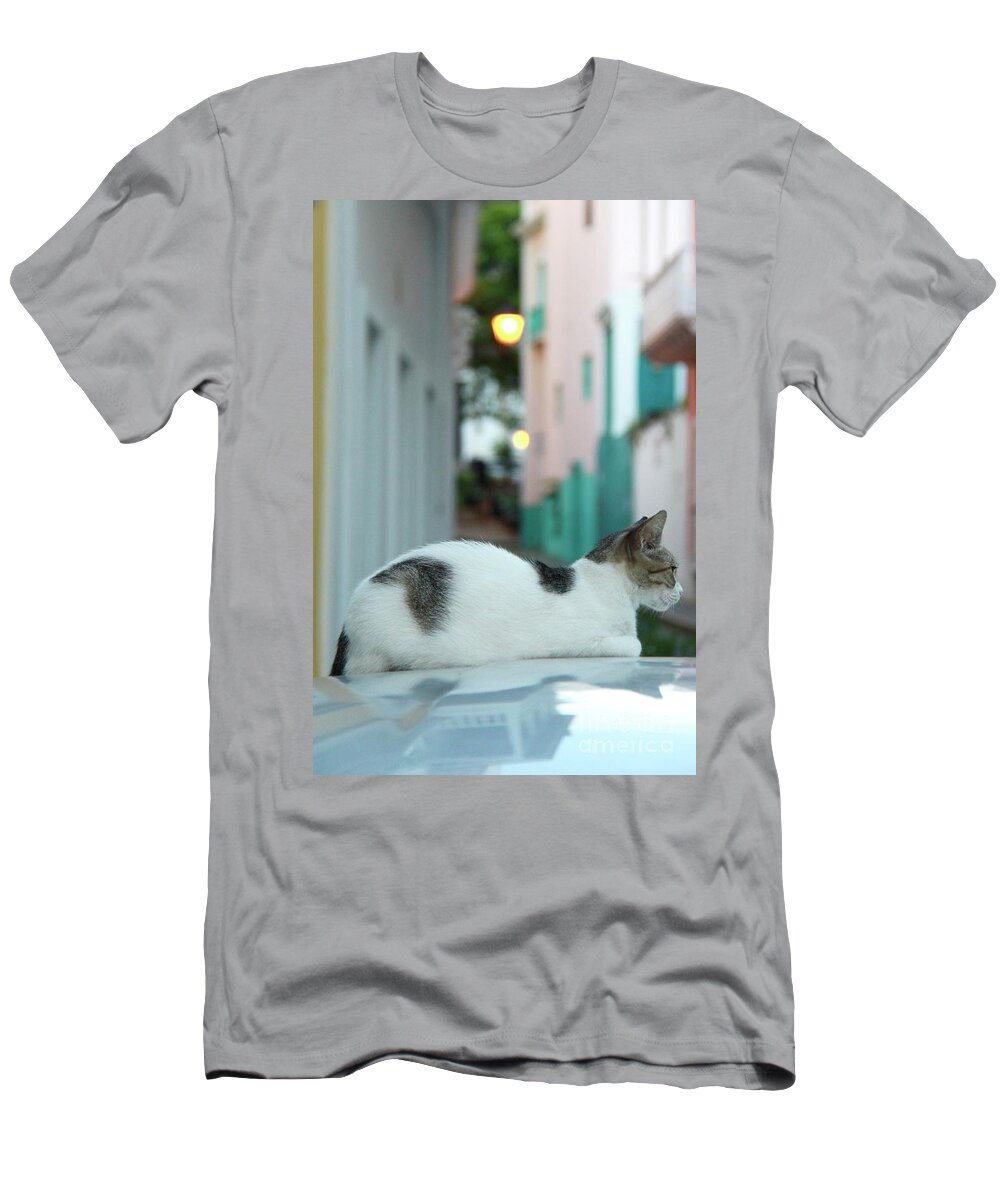 Old San Juan T-Shirt featuring the photograph Resting Kitten by Suzanne Oesterling