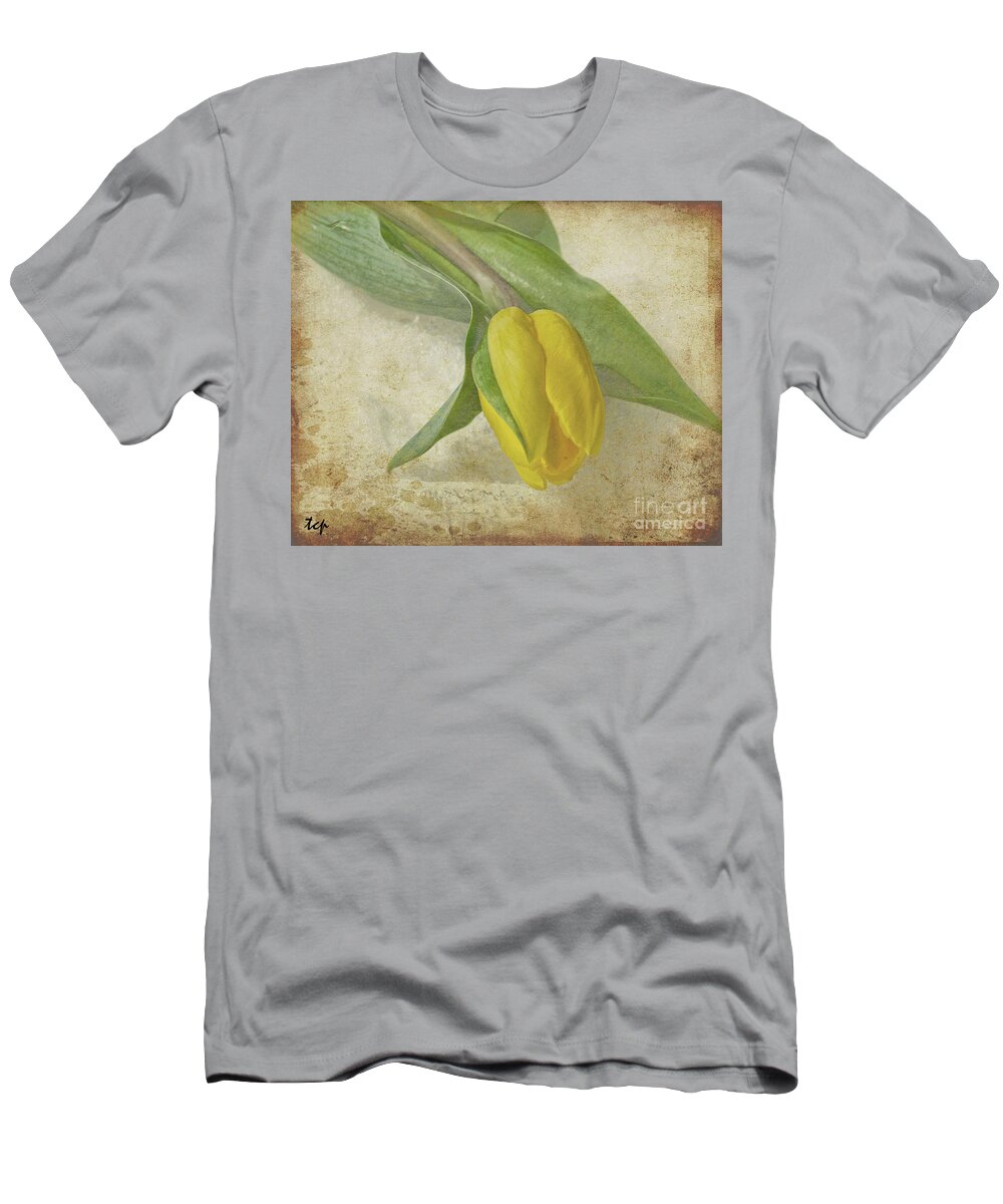 Antiqued T-Shirt featuring the photograph Romance by Traci Cottingham