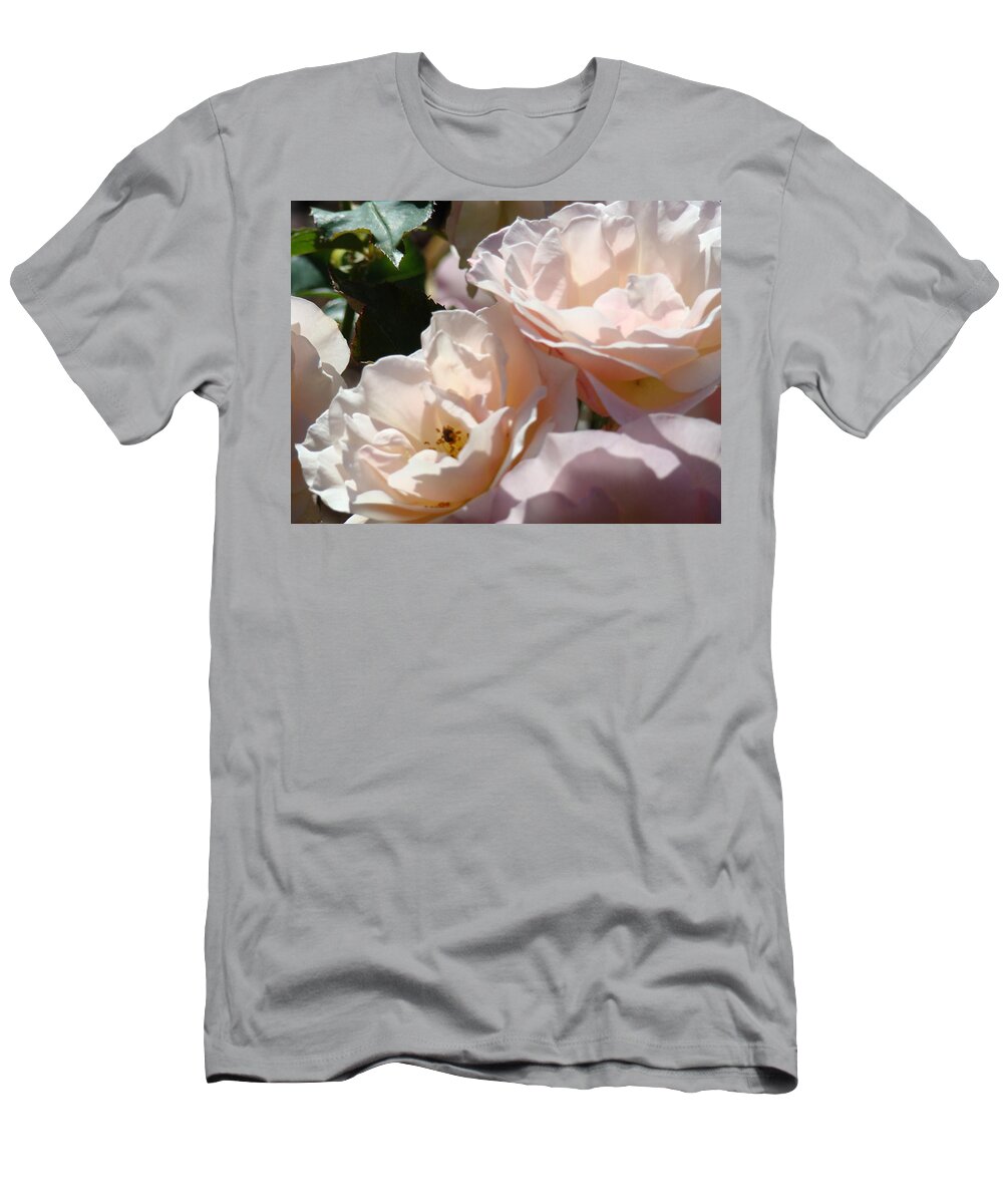 Rose T-Shirt featuring the photograph ROSE Art Prints Soft Pastel Pink Roses Floral Baslee Troutman by Patti Baslee
