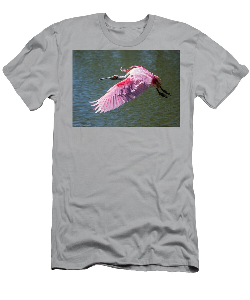 Roseate Spoonbill Flight T-Shirt featuring the photograph Roseate Spoonbill in Flight by Brent Bordelon