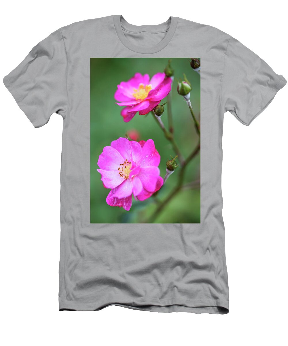 Rose T-Shirt featuring the photograph Roses in diagonal by Vishwanath Bhat