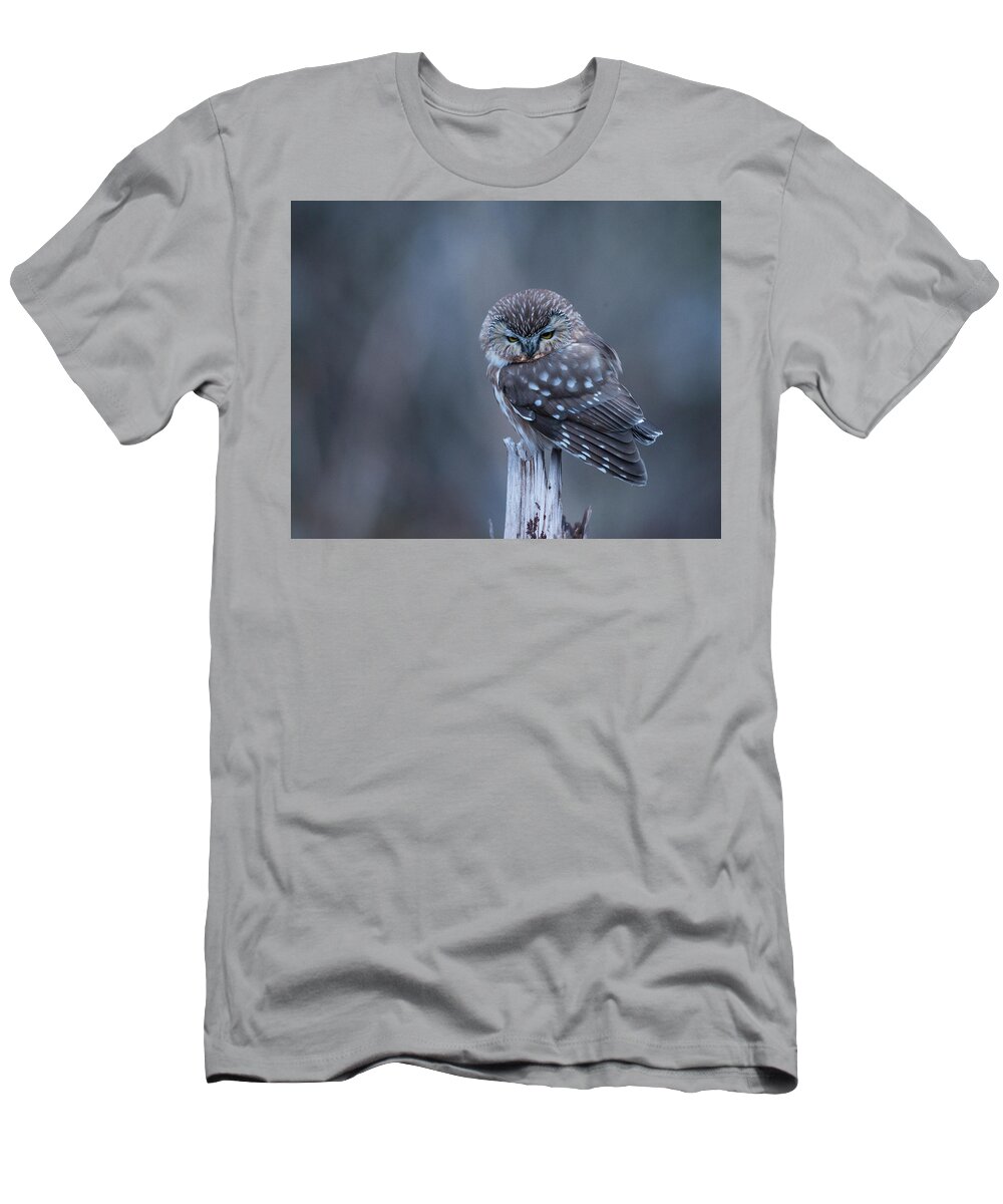 Northern Saw-whet Owl T-Shirt featuring the photograph Saw-whet Owl by Ian Johnson