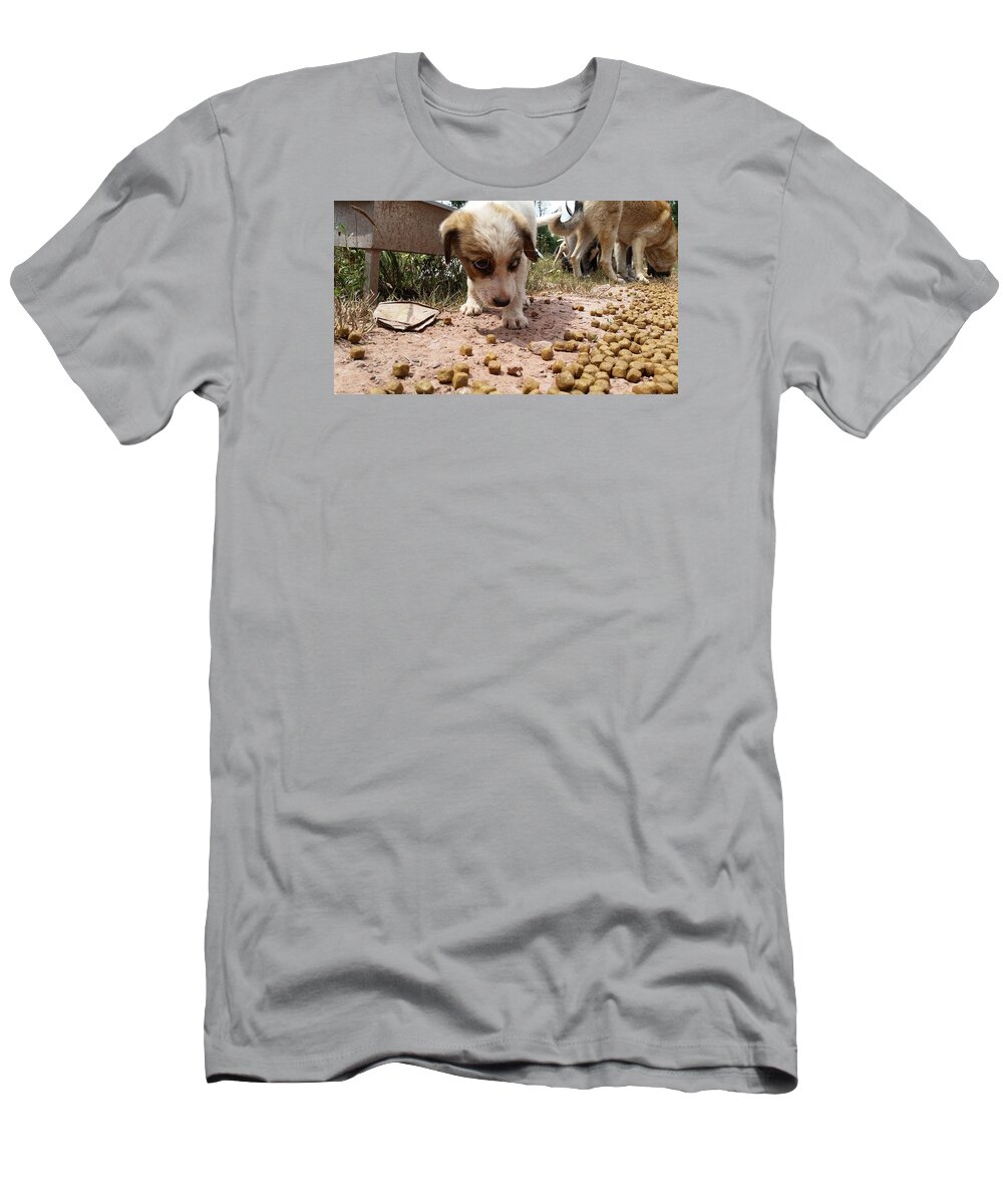 Puppy T-Shirt featuring the photograph Scared Puppy by Ezgi Turkmen