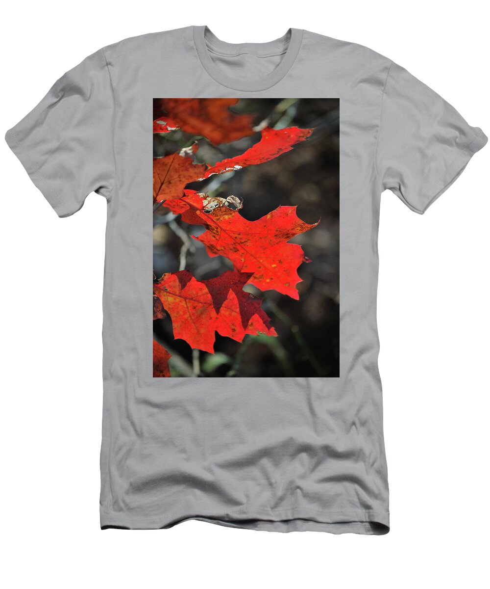 Autumn T-Shirt featuring the photograph Scarlet Autumn by Ron Cline