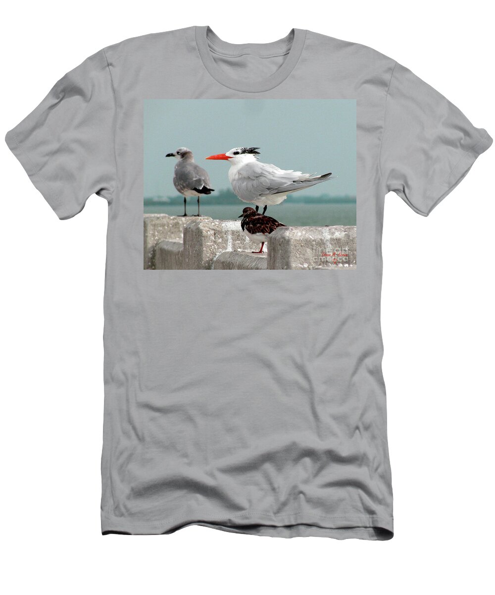 Birds T-Shirt featuring the photograph Sea Birds by Donna Brown
