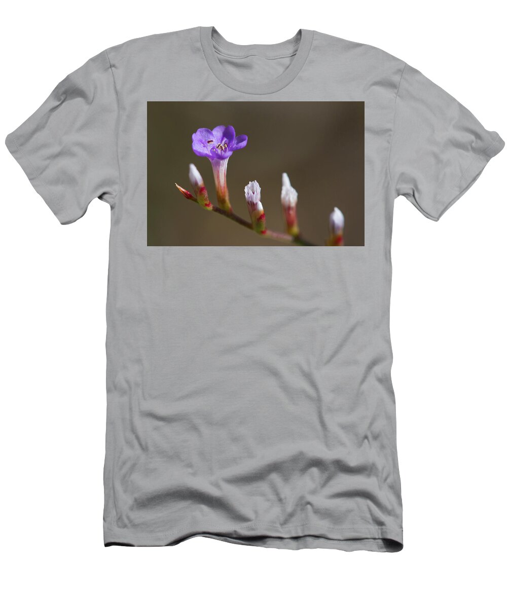 Sealavender T-Shirt featuring the photograph Sea Lavender by Paul Rebmann