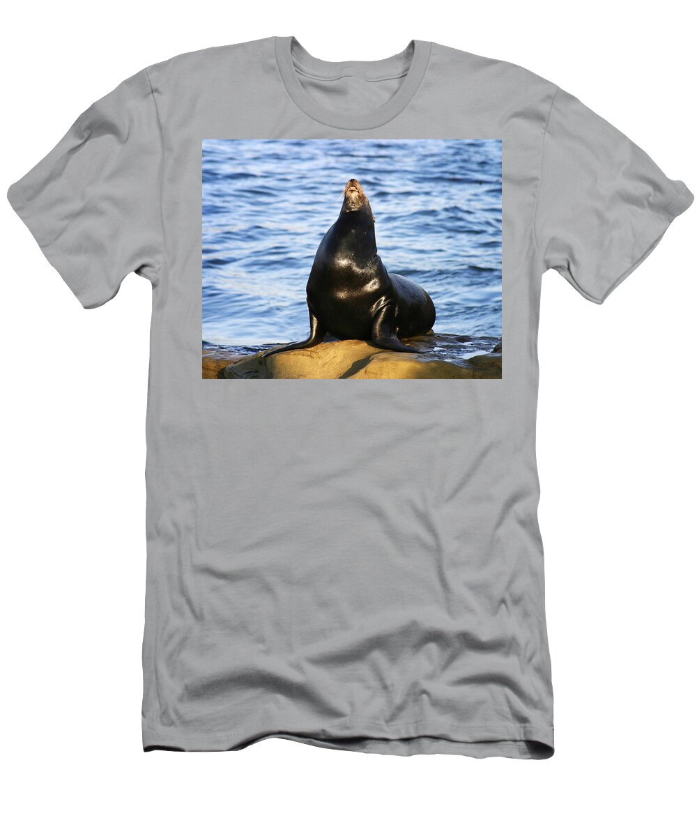 Sea Lion T-Shirt featuring the photograph Sea Lion Sing by Anthony Jones