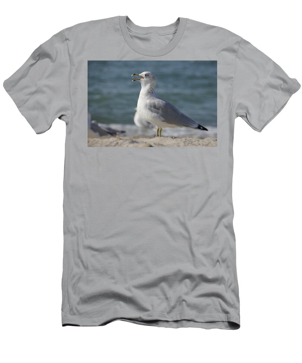 Seagull T-Shirt featuring the photograph Seagull on Lake Erie Beach by Valerie Collins
