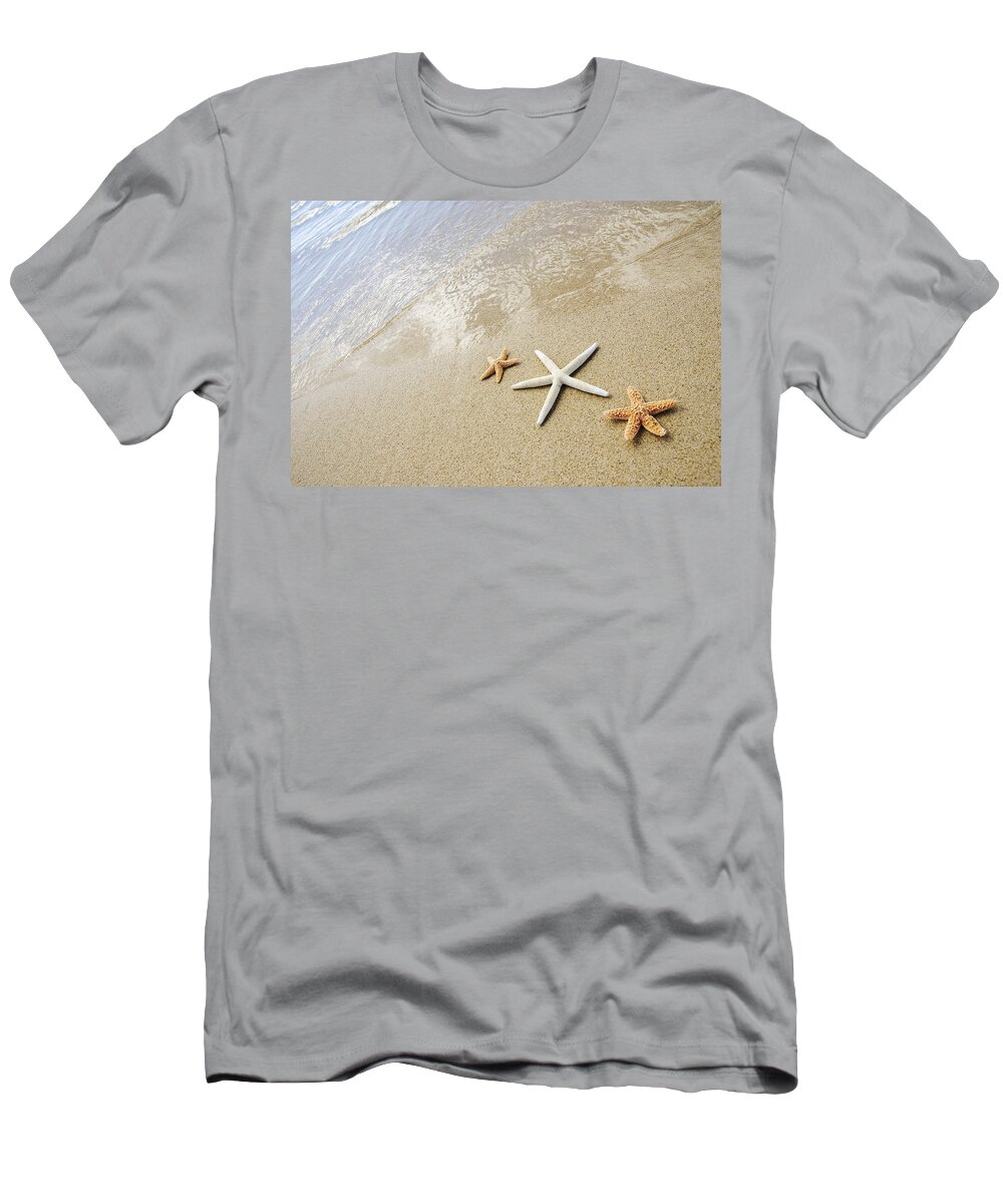 Afternoon T-Shirt featuring the photograph Seastars on Beach by Mary Van de Ven - Printscapes