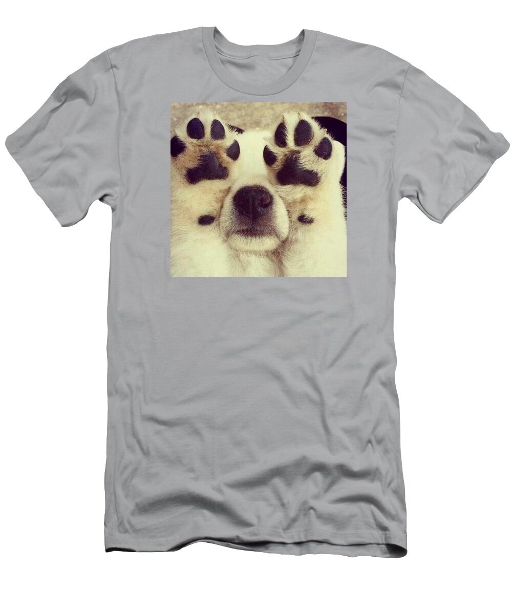 Dog T-Shirt featuring the photograph See No Evil by Theluxe Hub