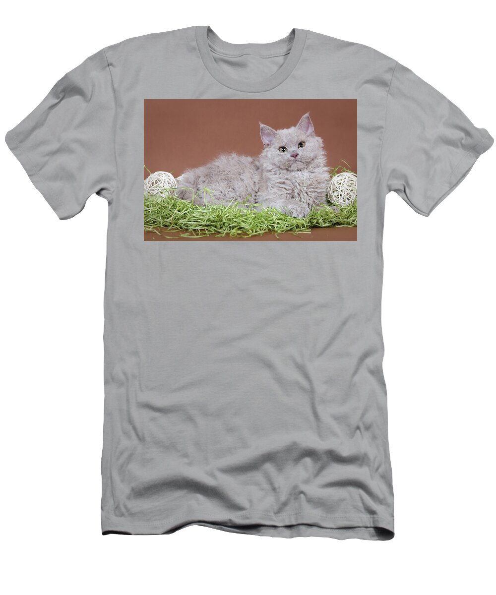 Cat T-Shirt featuring the photograph Selkirk-rex Cat by Angela Savenko
