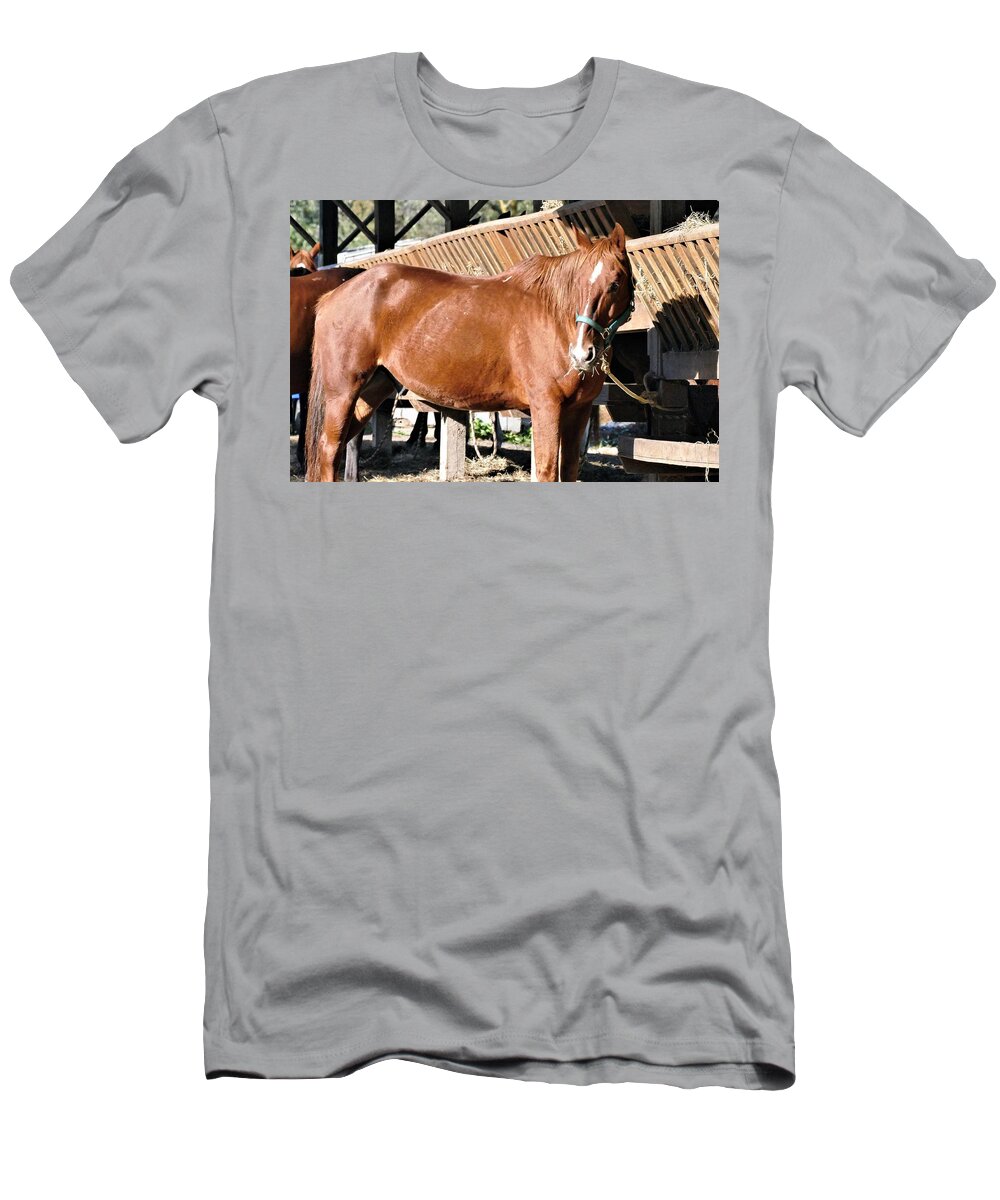 Horse T-Shirt featuring the photograph Set Me Loose by Tom Horsch Photography