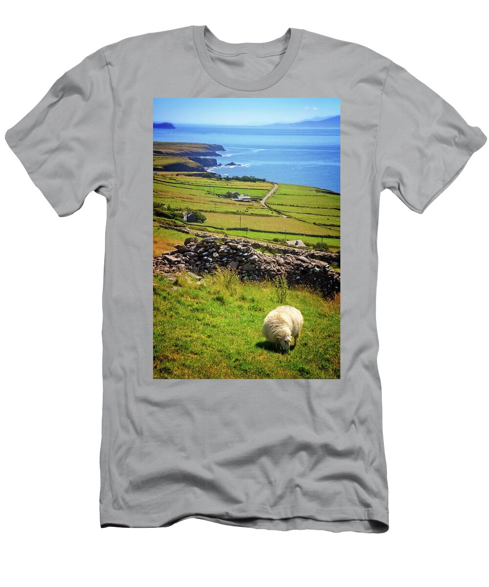 Clouds T-Shirt featuring the photograph Sheep on the Mountainside by Debra and Dave Vanderlaan