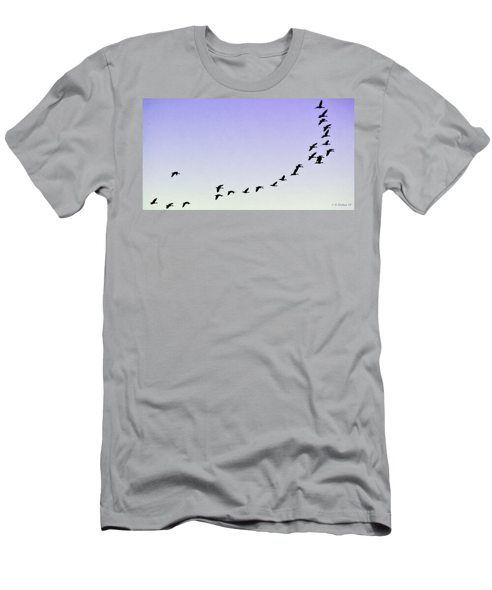 2d T-Shirt featuring the photograph Silhouetted Flight by Brian Wallace