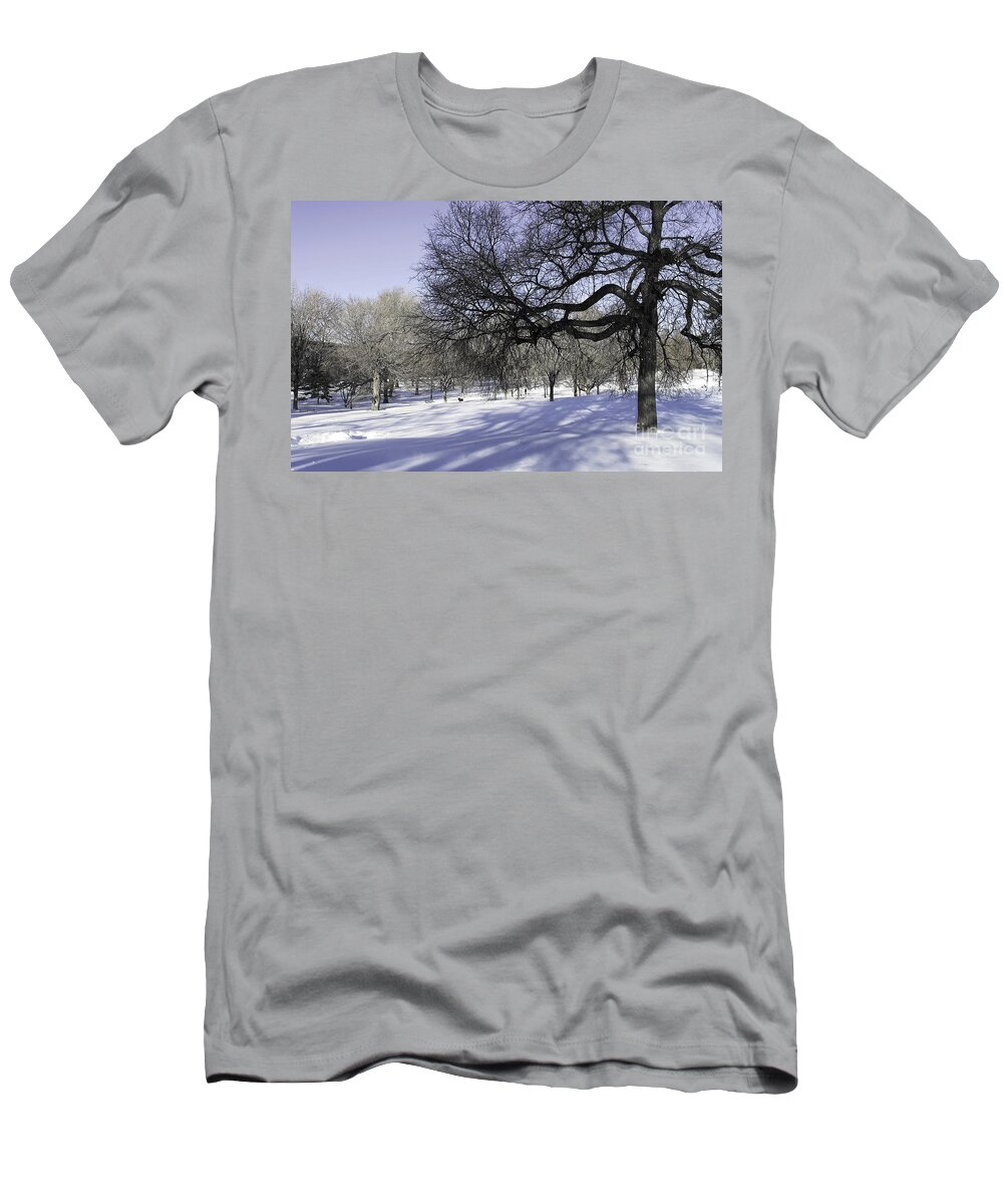 Winter T-Shirt featuring the photograph Silvery Blue Winter by Onedayoneimage Photography