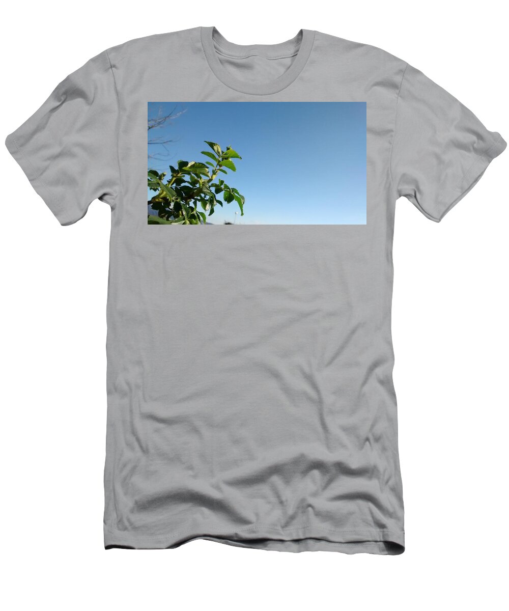 Landscape T-Shirt featuring the photograph Simple Prosperity II by Nieve Andrea
