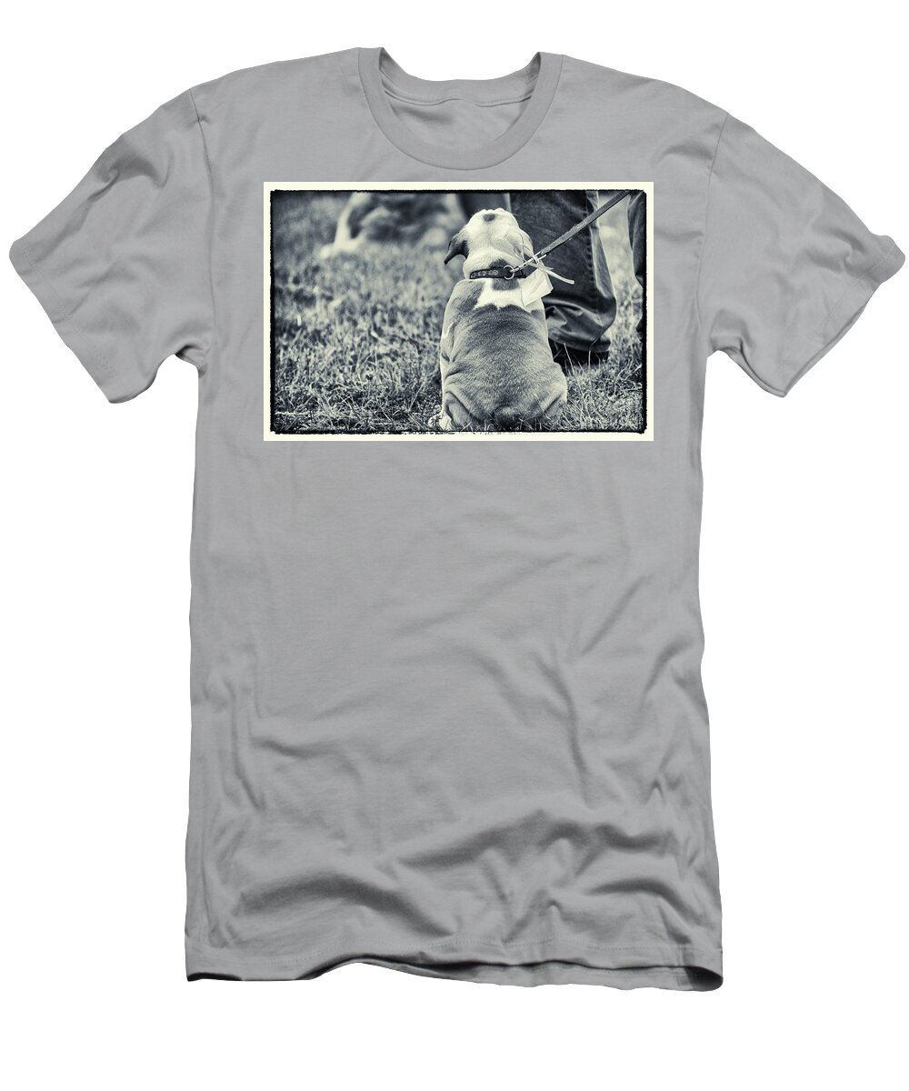 Bulldog T-Shirt featuring the photograph Sitting still by Silvia Ganora