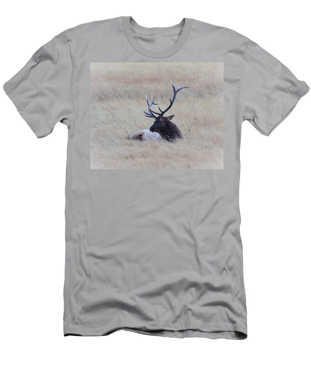 Bull Elk T-Shirt featuring the photograph Sleeping Giant by Steve McKinzie
