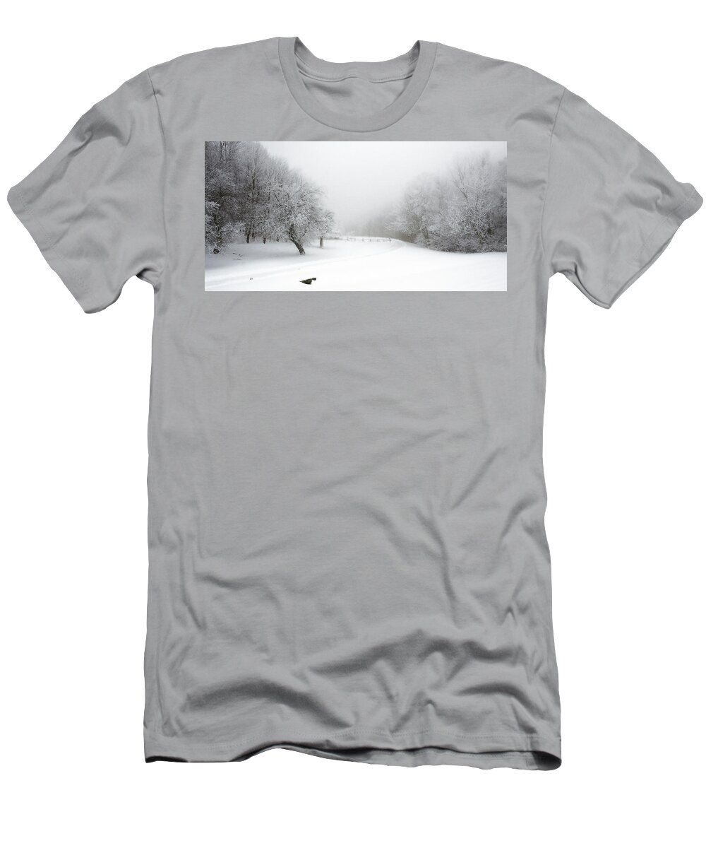 Blue Ridge Parkway T-Shirt featuring the photograph Snow Bound 2014 by Greg Reed