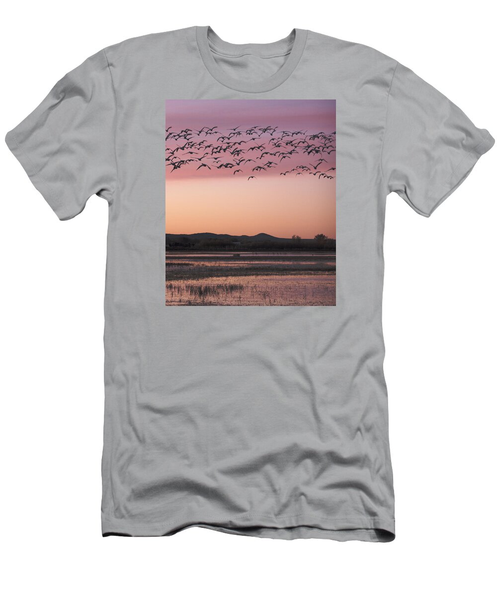 Animals T-Shirt featuring the photograph Snow Geese silhouetted by Harold Stinnette