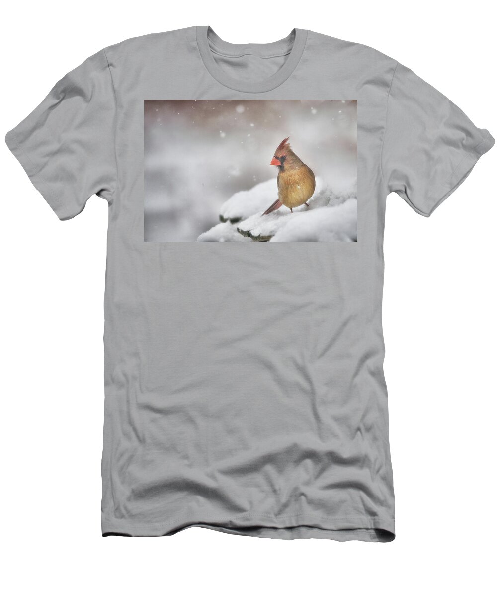 Cardinal T-Shirt featuring the photograph Snowy Day Lady by Sue Capuano