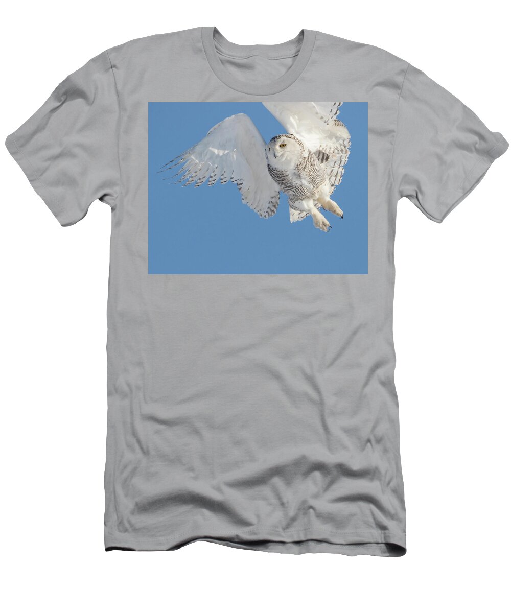 Snowy Owl T-Shirt featuring the photograph Snowy Owl Liftoff by Mindy Musick King