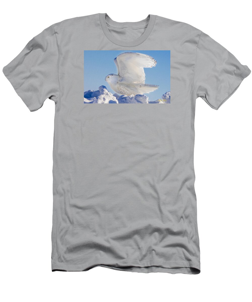 Animals T-Shirt featuring the photograph Snowy Ready for Lift-off by Rikk Flohr