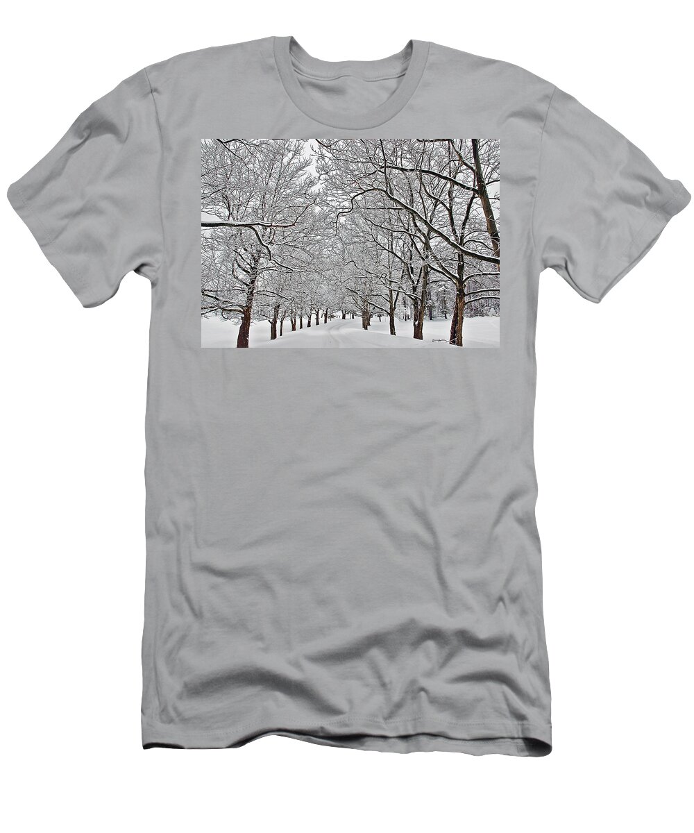 Landscape T-Shirt featuring the photograph Snowy Treeline by Aimee L Maher ALM GALLERY
