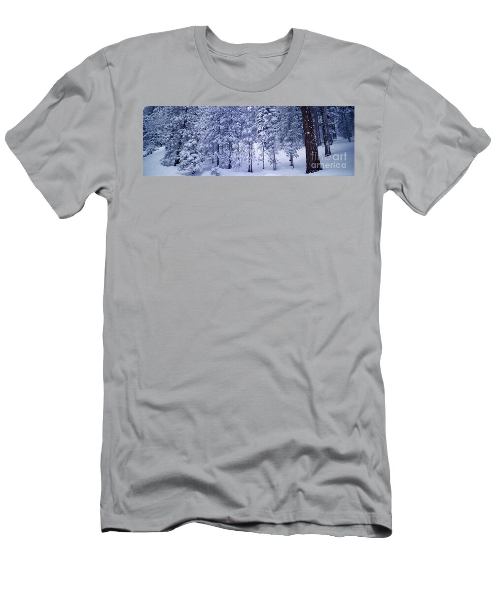 Snow T-Shirt featuring the photograph Snowy Woods by Wernher Krutein