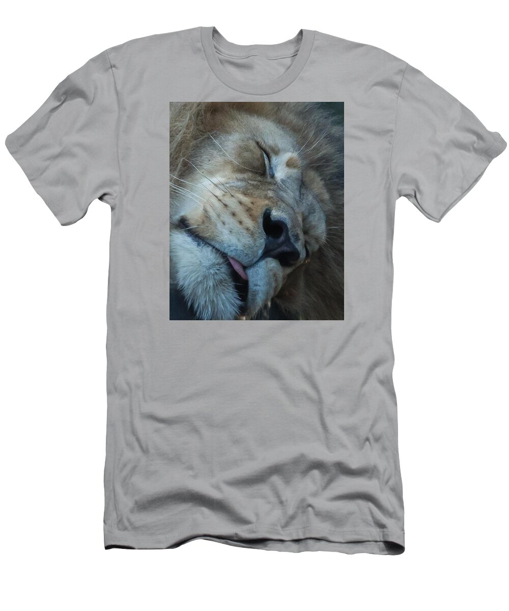 Lion T-Shirt featuring the photograph So tired by Vance Bell