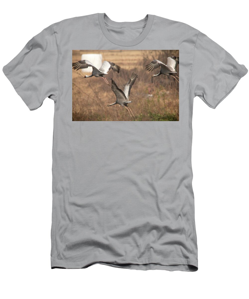 Birds T-Shirt featuring the photograph Soaring by Hyuntae Kim