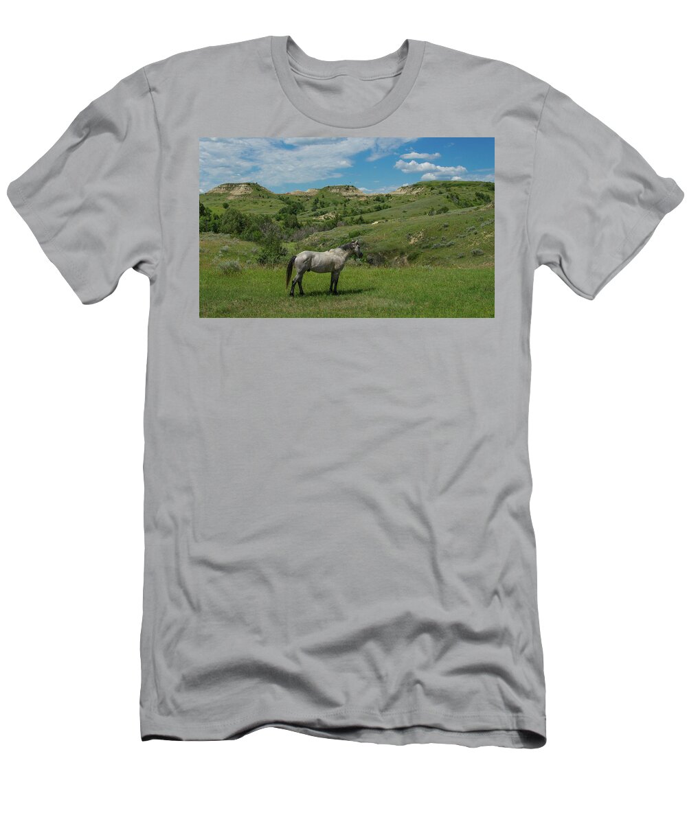 National Park T-Shirt featuring the photograph Solitary Stallion by Gales Of November