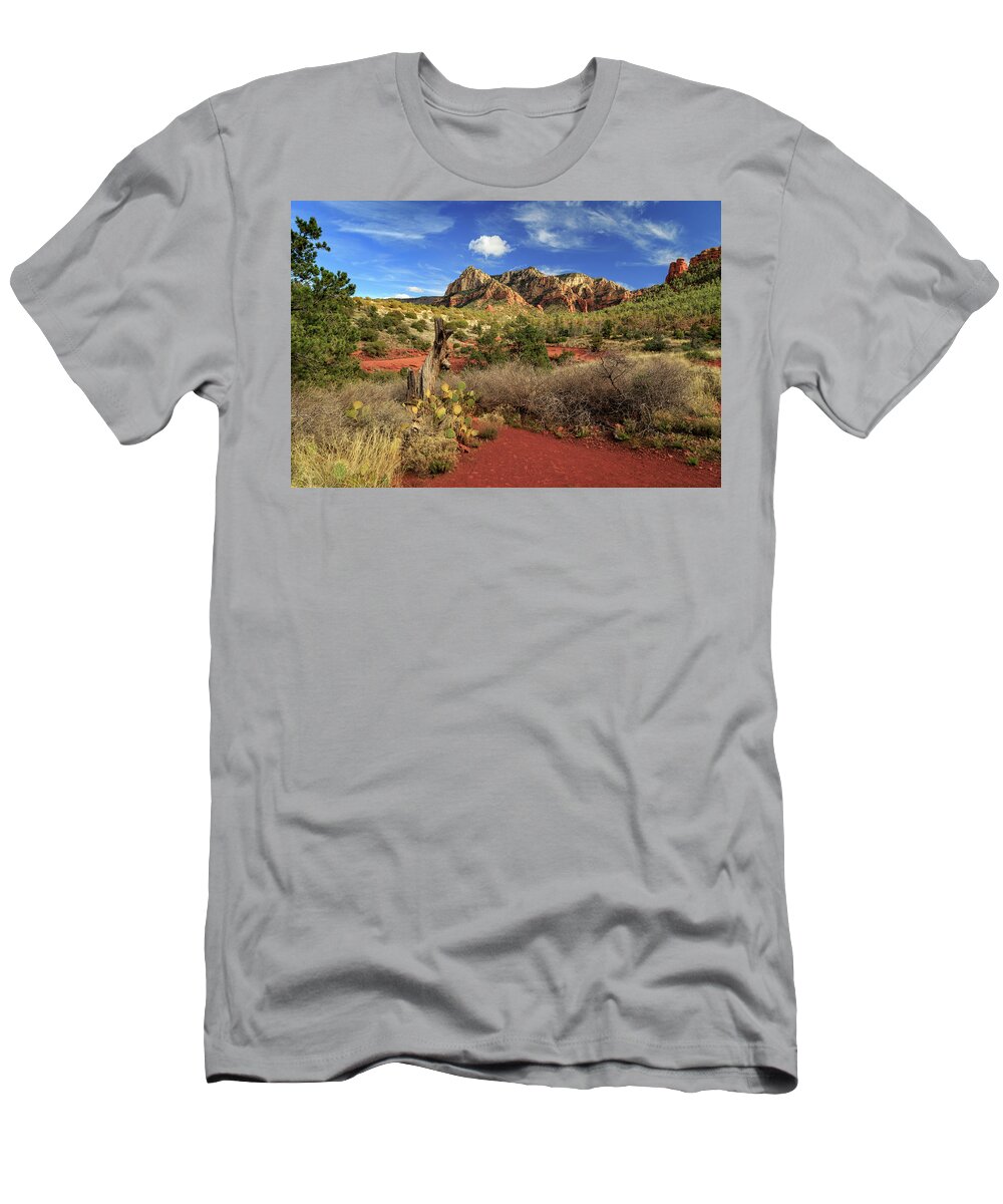 Cactus T-Shirt featuring the photograph Some Cactus In Sedona by James Eddy