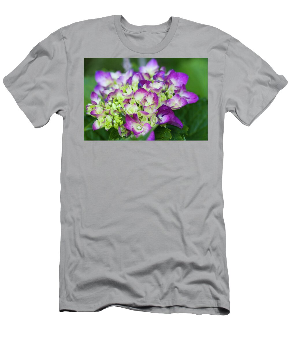 Purple T-Shirt featuring the photograph Southern Charm by Kathy Clark
