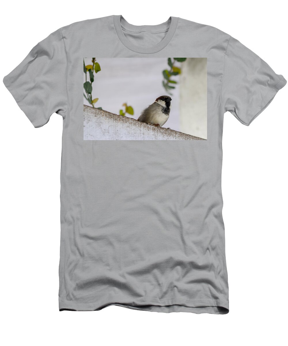 Sparrow T-Shirt featuring the photograph Sparrow by Ramabhadran Thirupattur