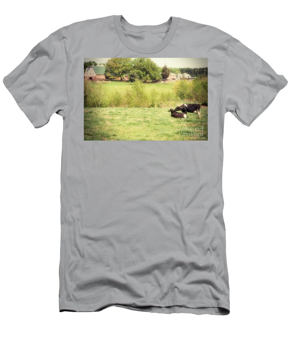 Cows T-Shirt featuring the photograph Splendor In The Grass by Paulette B Wright