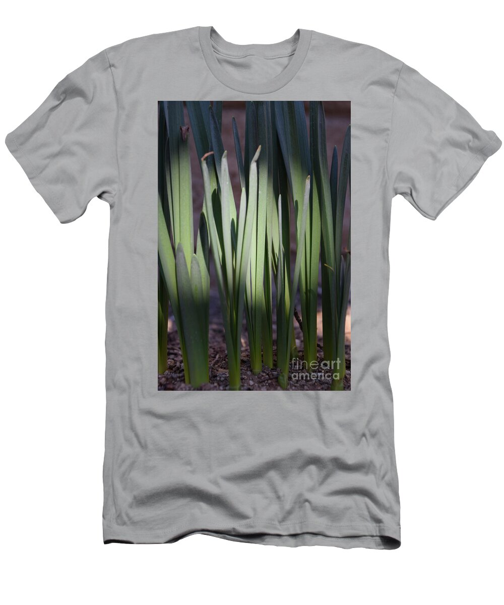 Jmacnairart T-Shirt featuring the digital art Spring daffodils bulbs in the morning by Jackie MacNair