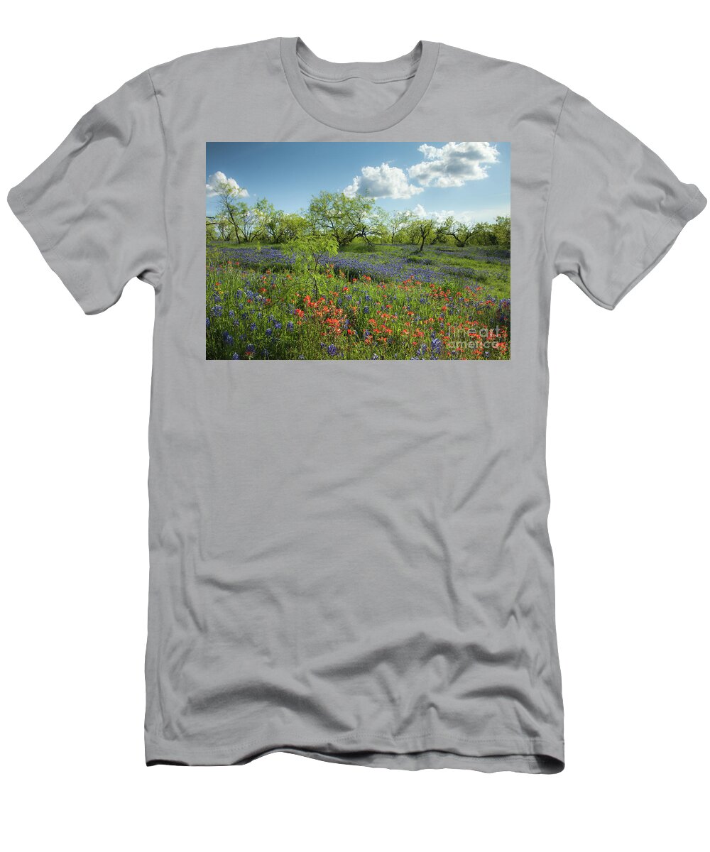 Ennis T-Shirt featuring the photograph Spring Morning by Iris Greenwell