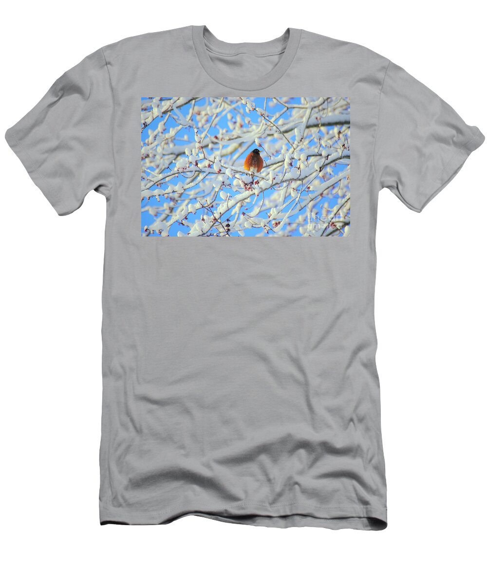Winter T-Shirt featuring the photograph Spring's on the Way by Merle Grenz