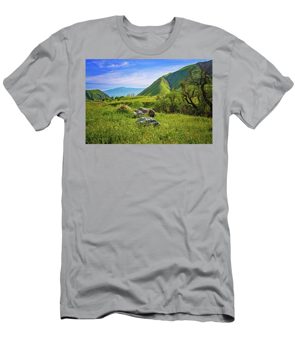 Spring T-Shirt featuring the photograph Springtime Beauty at Wind Wolves Preserve by Lynn Bauer